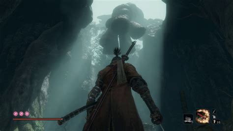 wedding cave door sekiro.